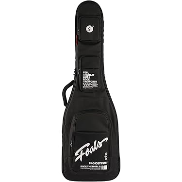 希少】 STEADY ベース用セミハードケース 2本収納 2WAY Amazon